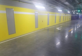 钢质秋葵视频黄色网站